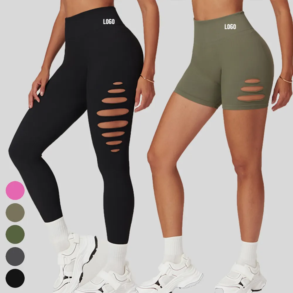 gym pants supplier